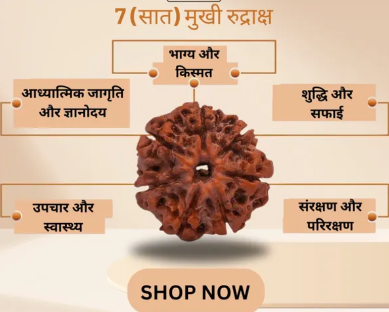 7 Mukhi Nepali Rudraksha - Limited Time Offer